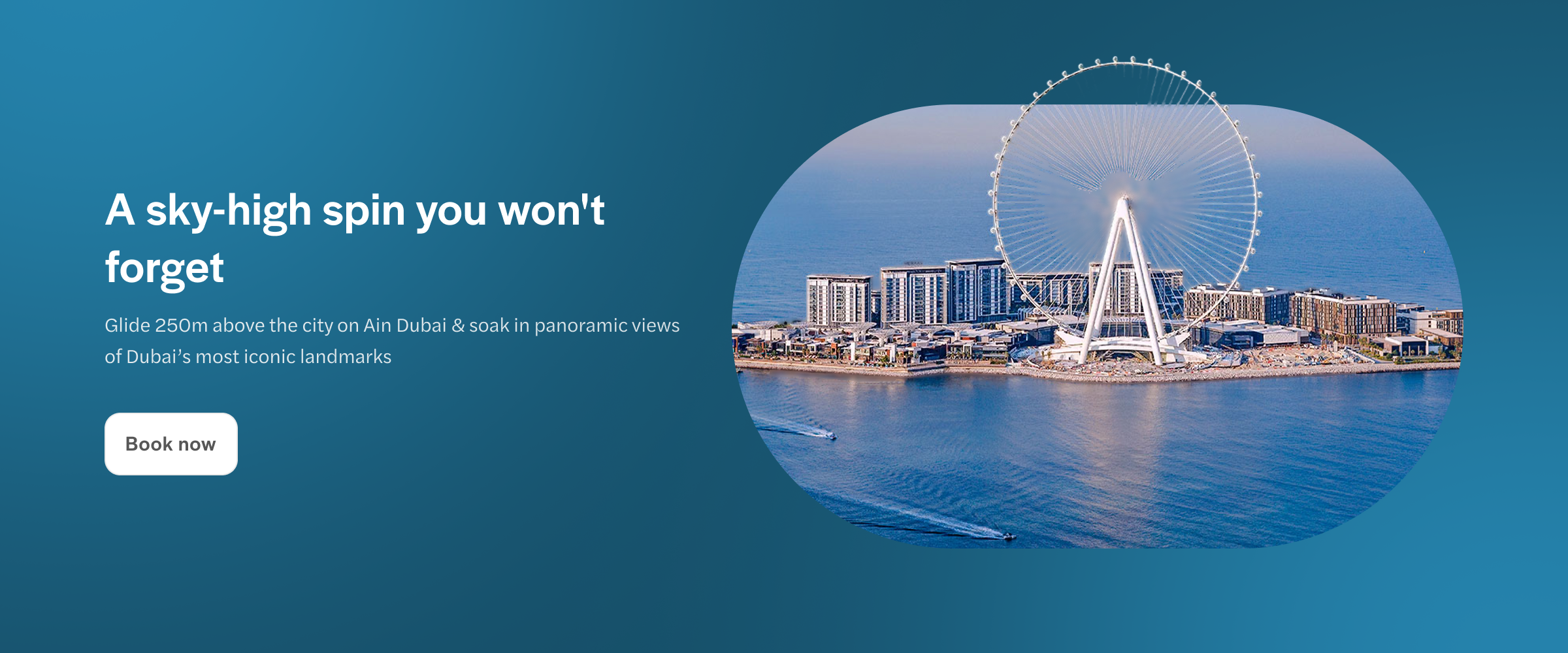 Ain Dubai Ferris wheel overlooking the cityscape and coastline of Dubai.